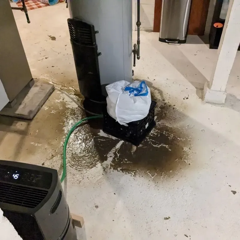Sewage Backup Cleanup Service in Oran, MO